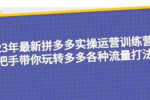 （5435期）23年最新拼多多实操运营训练营：手把手带你玩转多多各种流量打法！
