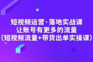 （4961期）短视频运营·落地实战课 让账号有更多的流量（短视频流量+带货出单实操）