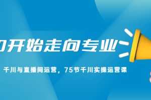（2165期）从0开始走向专业，千川与直播间运营，75节千川实操运营课