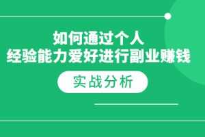 （1771期）如何通过个人经验能力爱好进行副业赚钱，多种实战赚钱分析（完结）