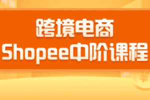 （1410期）2020跨境电商蓝海新机会-shopee中阶课程：爆款的快速打造全流程（27节课）