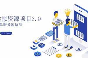 (1339期)虚拟资源项目3.0(单品服务流玩法),单品利润在80元~600元左右(无水印)