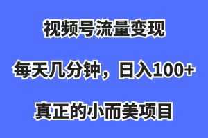 （7212期）视频号流量变现，每天几分钟，收入100+，真正的小而美项目