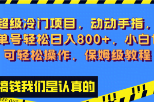 （8205期）超级冷门项目,动动手指，单号轻松日入800+，小白也可轻松操作，保姆级教程