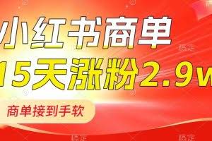 （8308期）小红书商单最新玩法，新号15天2.9w粉，商单接到手软，1分钟一篇笔记