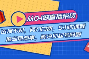 （8541期）教您从0-1做直播带货：选择不对，努力白费，5小时课程搞定那点事，解决…