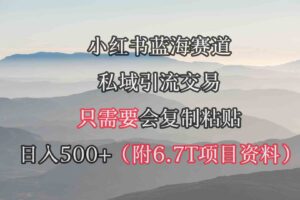 （9487期）小红书短剧赛道，私域引流交易，会复制粘贴，日入500+（附6.7T短剧资源）
