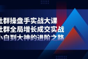 (11058期)社群-操盘手实战大课:社群 全局增长成交实战,小白到大神的进阶之路