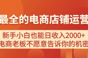（11266期）电商店铺运营教学，新手小白也能日收入2000+，电商老板不愿意告诉你的机密