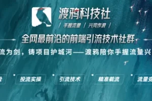 （88888期）【渡鸦科技社】万人社群，流量的终点站，让你从0开始布局私域流量年入百万！