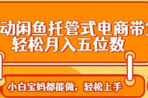 (14132期)全自动闲鱼托管式电商带货 轻松实现月入五位数