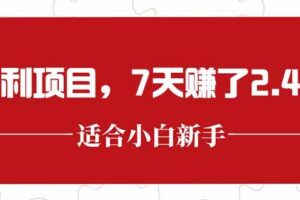 （15228期）最新暴利项目，每单收益轻松在300以上，7天赚了2.4万