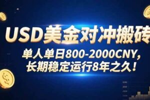 （15551期）USD美金对冲搬砖!单人单日800-2000CNY，长期稳定运行8年之久!