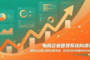 （16643期）电商企业管理系统构建课：帮助企业建立高效运营系统，实现利润与规模的同步跃升