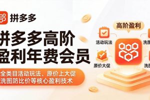 (18063期)拼多多高阶盈利年费会员(更新4月15):全类目活动玩法、原价上大促、洗图防比价等核心盈利技术
